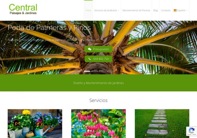 Mantenimiento de Jardines en Mallorca - Central Paisajes & Jardines