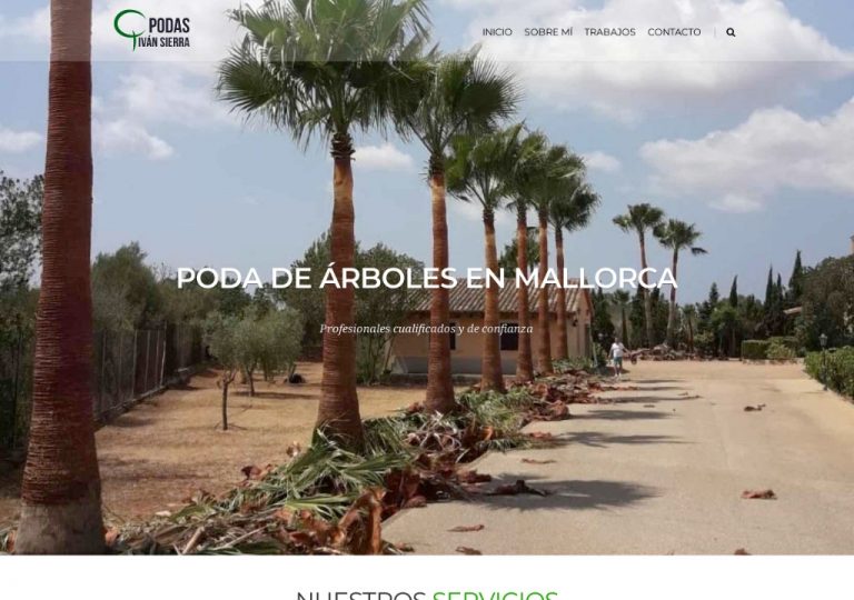 Podas de Palmeras y Pinos en Mallorca - Podas Ivan Sierra